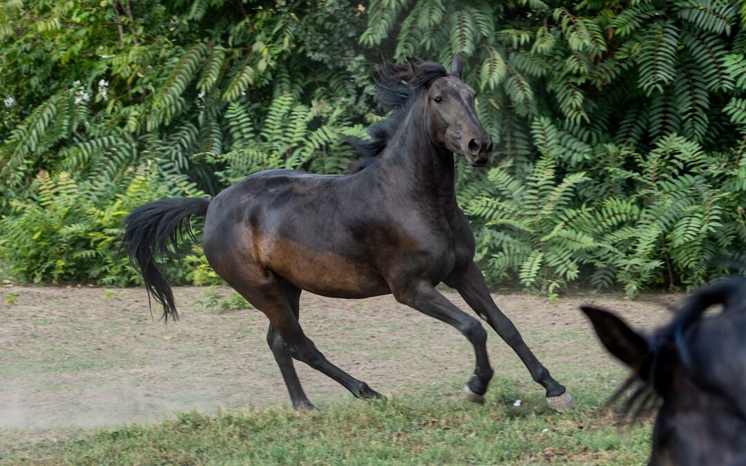 Megan Thee Stallion Returns