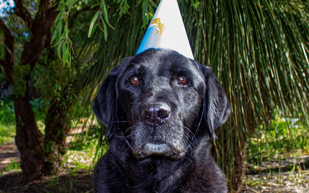 Noah Wyle on Supriya Ganesh Exit