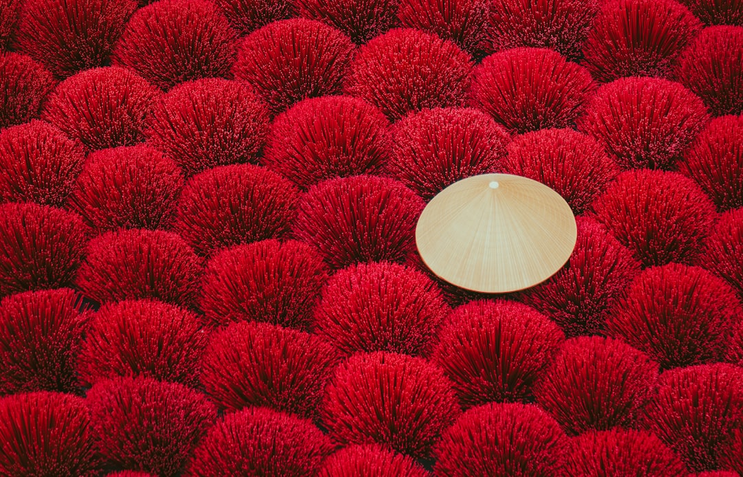 Natasha Lyonne Attends Premiere